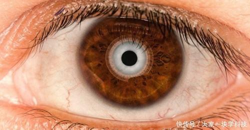 三D打印仿生技術(shù)取得新打破，仿生眼球，仿生脊柱或?qū)柺?></div>
				<div   id=