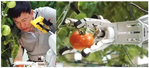 工業(yè)機器人“當(dāng)家作主”，食品加工自動化成趨勢？